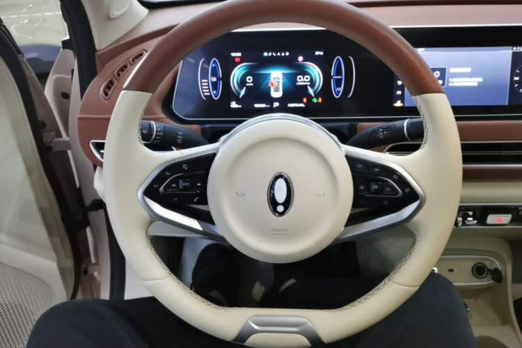 Used ORA Good Cat 2024 401 km Luxury Version Steering Wheel