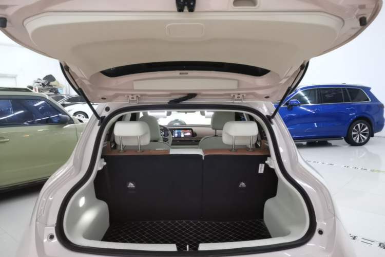 Used ORA Good Cat 2024 401 km Luxury Version Trunk