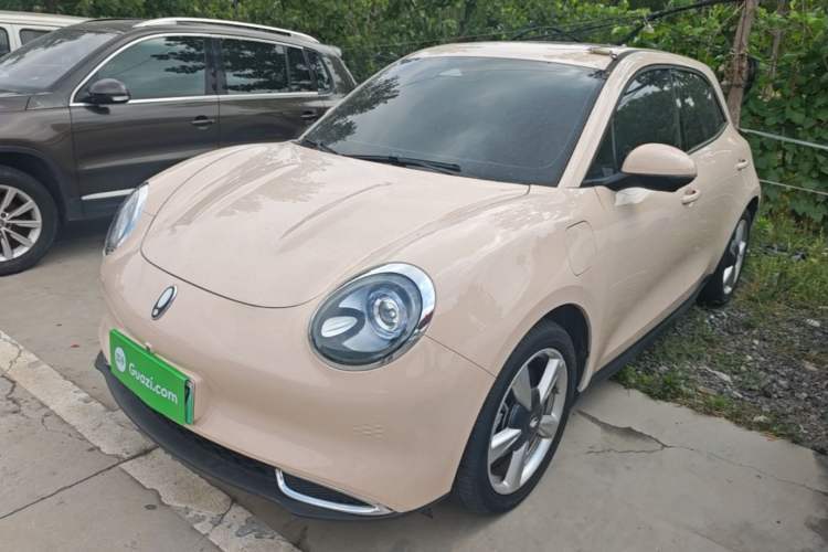 Used ORA Good Cat 2024 401 km Range Luxury Version 135 kW Guazi used car, China used car export, Used car for sale, Used  cars, Cheapest cars for sale