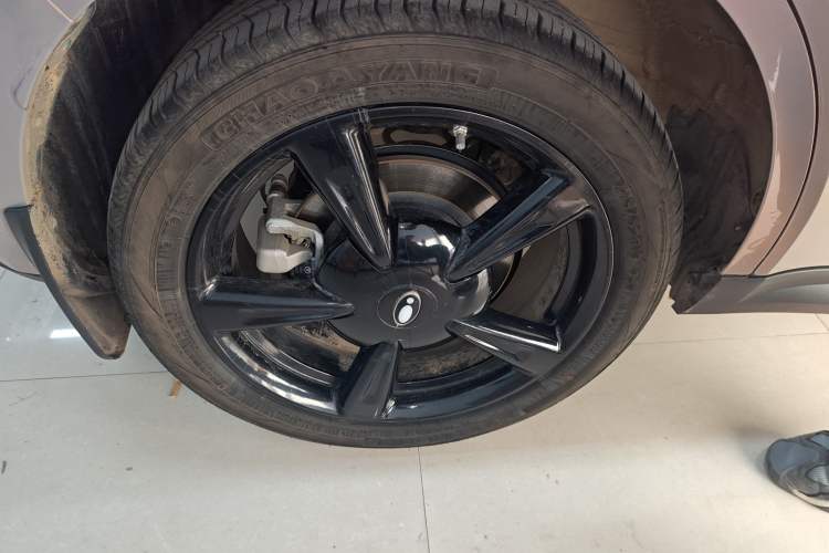 Used ORA Good Cat 2024 401 km Luxury Version Exterior 8