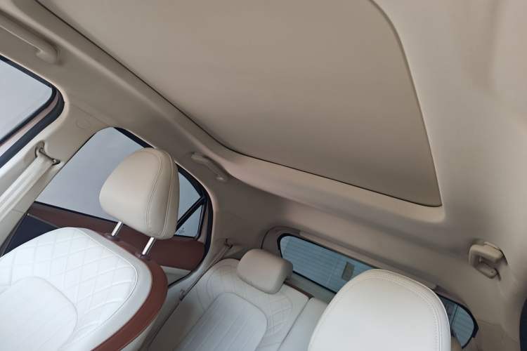 Used ORA Good Cat 2024 401 km Luxury Version Headliner