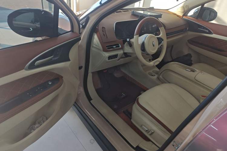 Used ORA Good Cat 2024 401 km Luxury Version Interior 3