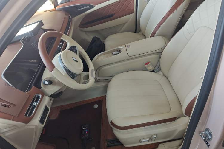 Used ORA Good Cat 2024 401 km Luxury Version Left Front Seat