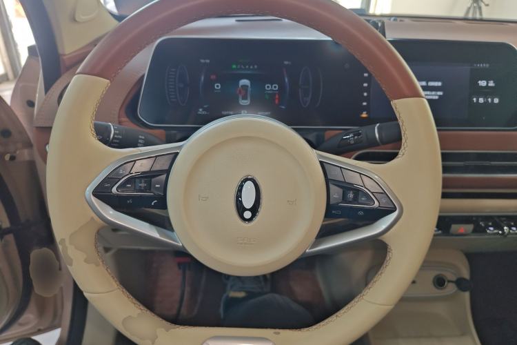 Used ORA Good Cat 2024 401 km Luxury Version Steering Wheel
