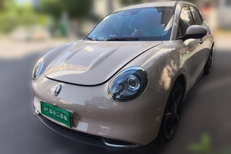 ORA Good Cat 2024 401 km Luxury Version