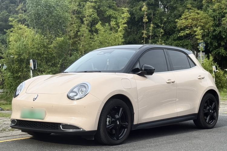 Gebrauchter ORA Good Cat 2024 401 km Range Luxury Version 135 kW Guazi used car, China used car export, Used car for sale, Used  cars, Cheapest cars for sale