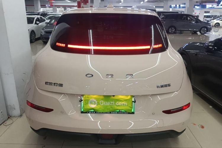Used ORA Good Cat 2024 401 km Luxury Version Rear