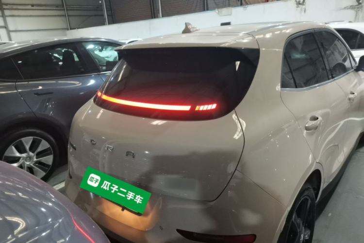 Used ORA Good Cat 2024 401 km Luxury Version Rear
