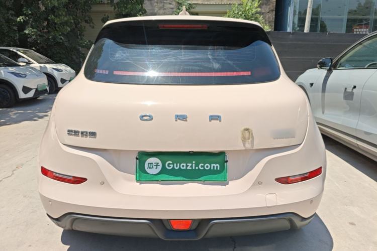 Used ORA Good Cat 2024 501 km Luxury Version Rear