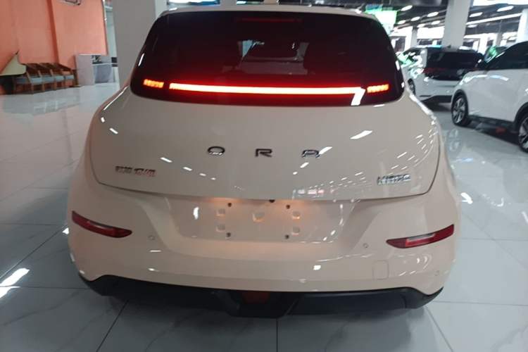 Used ORA Good Cat 2024 401 km Luxury Version Rear
