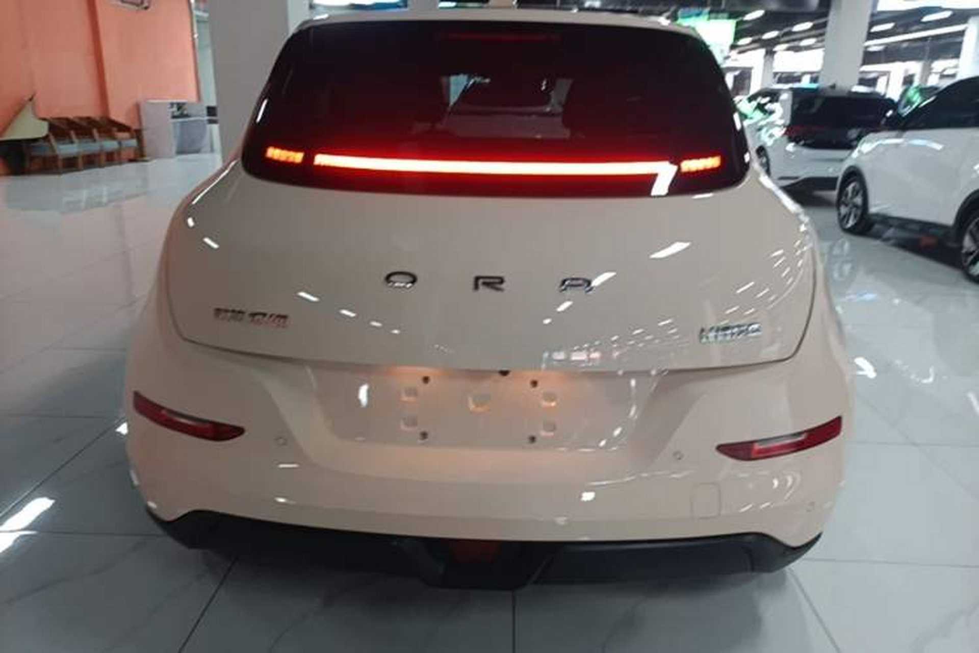 Used ORA Good Cat 2024 401 km Luxury Version Rear
