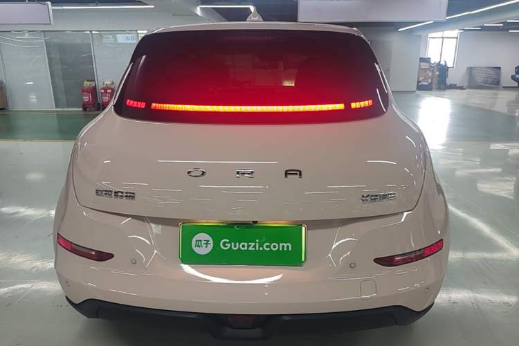 Used ORA Good Cat 2024 401 km Luxury Version Rear