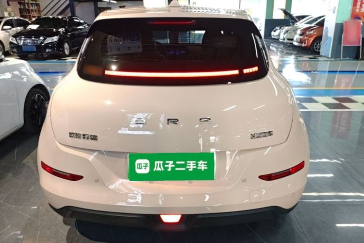 Used ORA Good Cat 2024 501 km Luxury Version Rear
