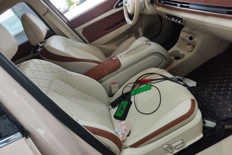 Used ORA Good Cat 2024 401 km Range Luxury Version 135 kW Right Front Seat