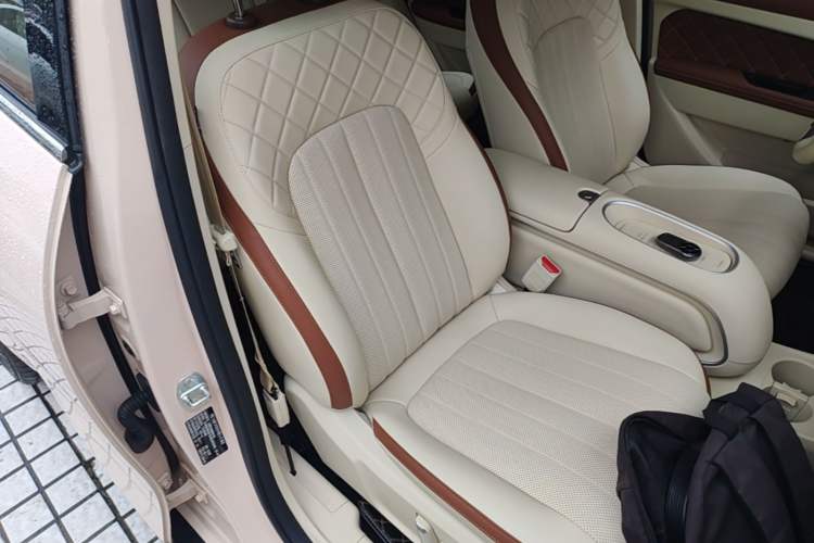 Used ORA Good Cat 2024 401 km Range Luxury Version 135 kW Right Front Seat
