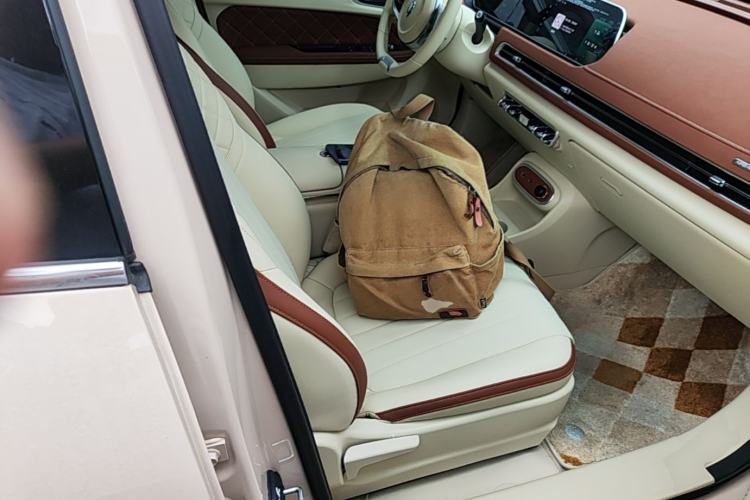 Used ORA Good Cat 2024 401 km Luxury Version Right Front Seat
