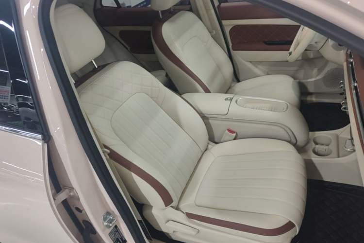 Used ORA Good Cat 2024 401 km Luxury Version Right Front Seat