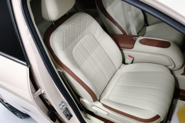 Used ORA Good Cat 2024 401 km Luxury Version Right Front Seat