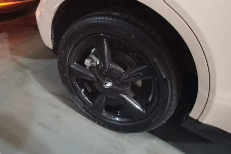 Used ORA Good Cat 2024 401 km Luxury Version Right Rear Wheel Hub