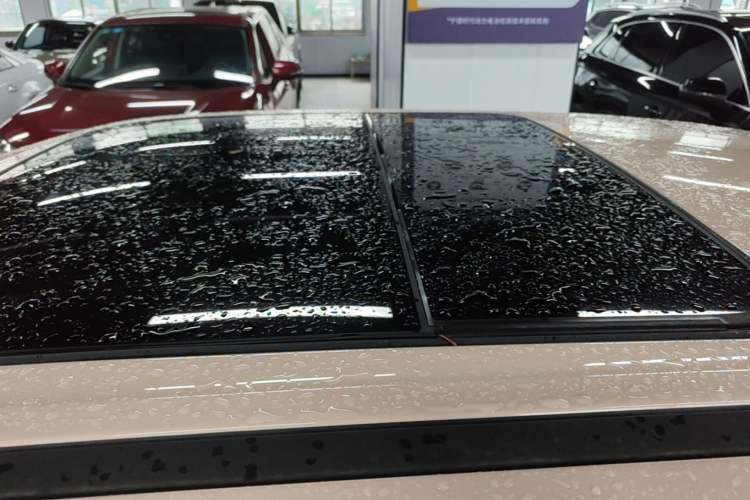 Used ORA Good Cat 2024 401 km Range Luxury Version 135 kW Roof