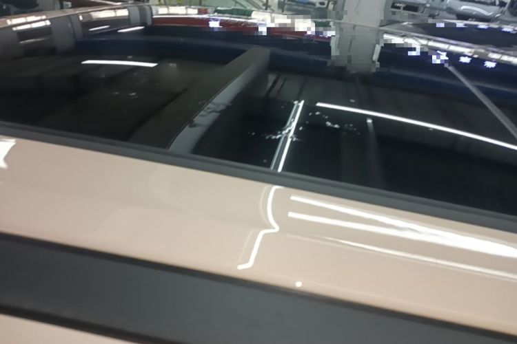 Used ORA Good Cat 2024 401 km Luxury Version Roof