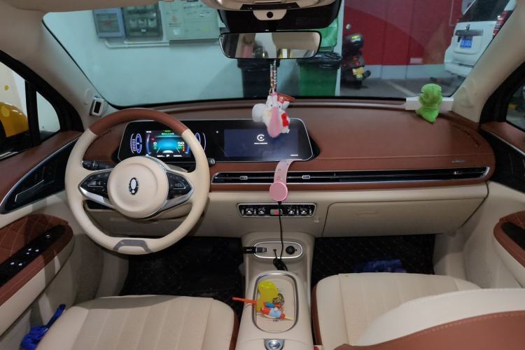 Used ORA Good Cat 2024 401 km Range Luxury Version 135 kW Center Console