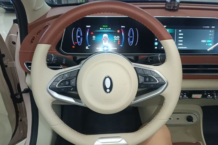 Used ORA Good Cat 2024 401 km Luxury Version Steering Wheel