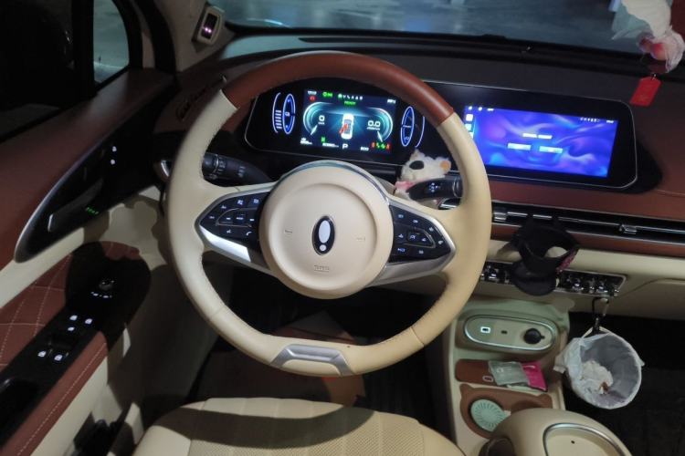Used ORA Good Cat 2024 401 km Range Luxury Version 135 kW Steering Wheel