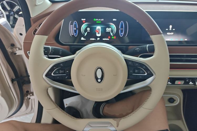 Used ORA Good Cat 2024 401 km Luxury Version Steering Wheel