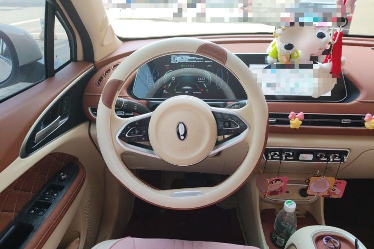 Used ORA Good Cat 2024 401 km Luxury Version Steering Wheel