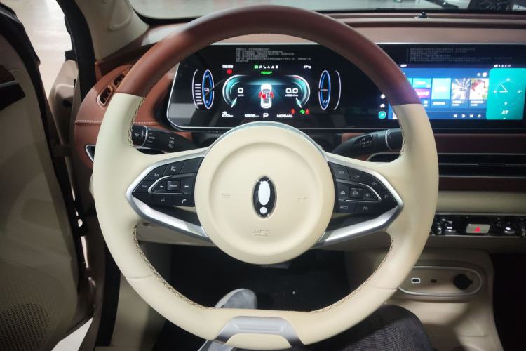 Used ORA Good Cat 2024 401 km Luxury Version Steering Wheel