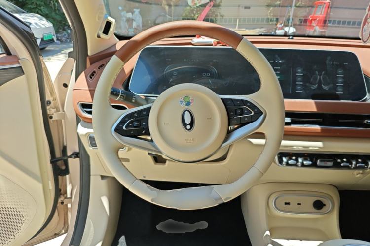 Used ORA Good Cat 2024 501 km Luxury Version Steering Wheel