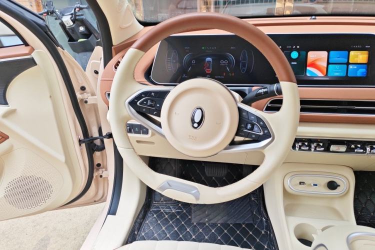 Used ORA Good Cat 2024 401 km Luxury Version Steering Wheel