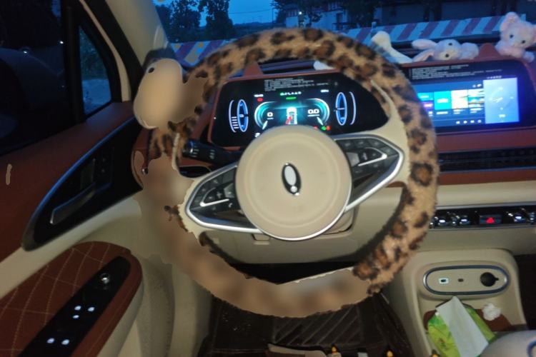 Used ORA Good Cat 2024 401 km Luxury Version Steering Wheel