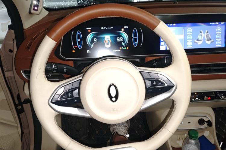 Used ORA Good Cat 2024 401 km Luxury Version 126 kW Steering Wheel