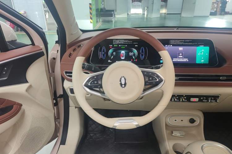 Used ORA Good Cat 2024 401 km Luxury Version Steering Wheel
