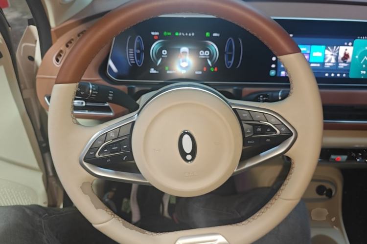 Used ORA Good Cat 2024 501 km Luxury Version Steering Wheel