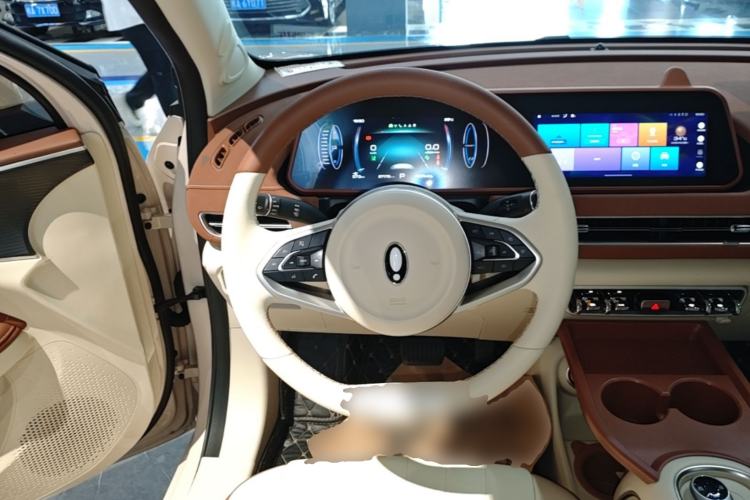 Used ORA Good Cat 2024 501 km Luxury Version Steering Wheel