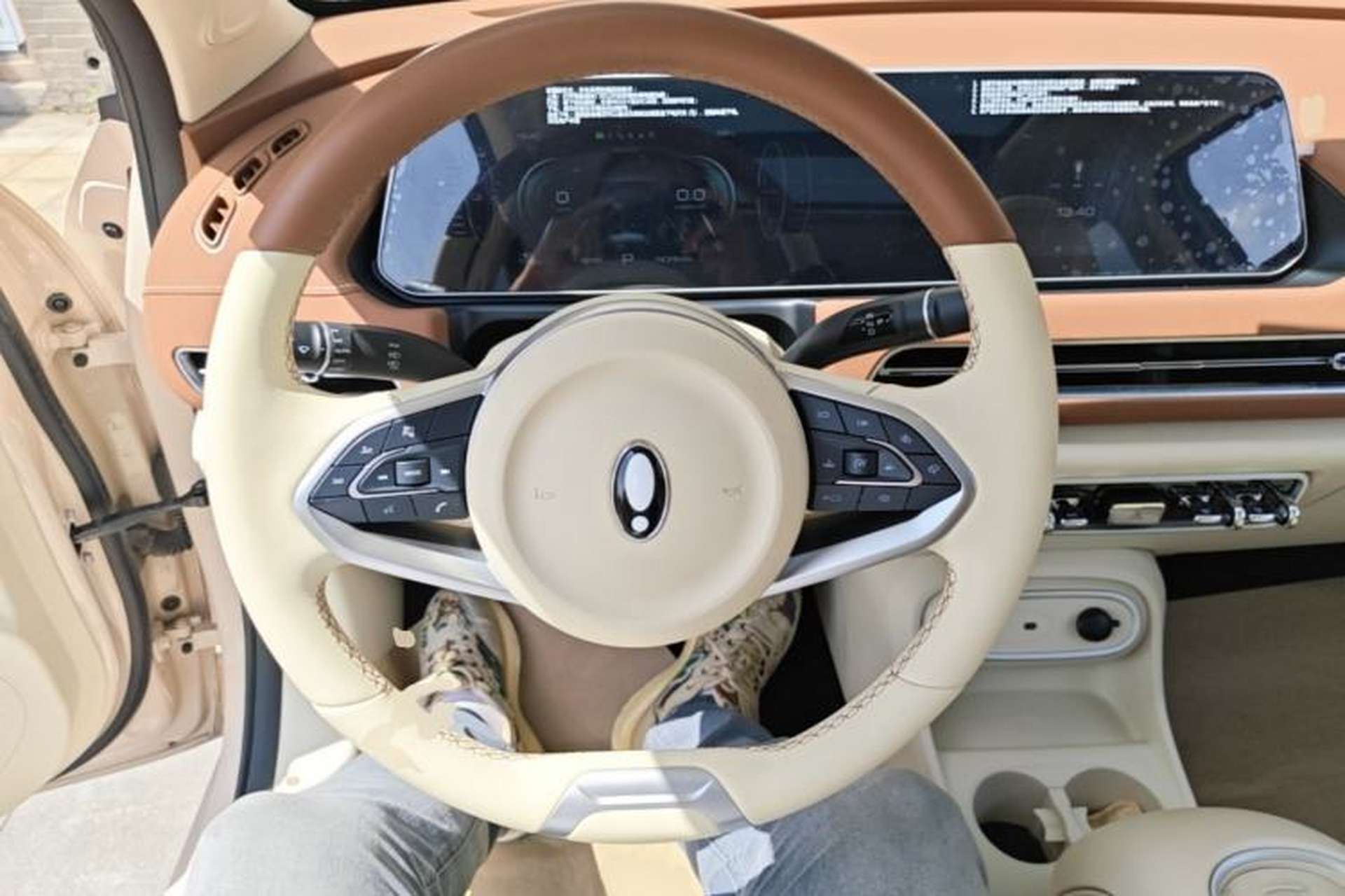 Used ORA Good Cat 2024 401 km Luxury Version Steering Wheel