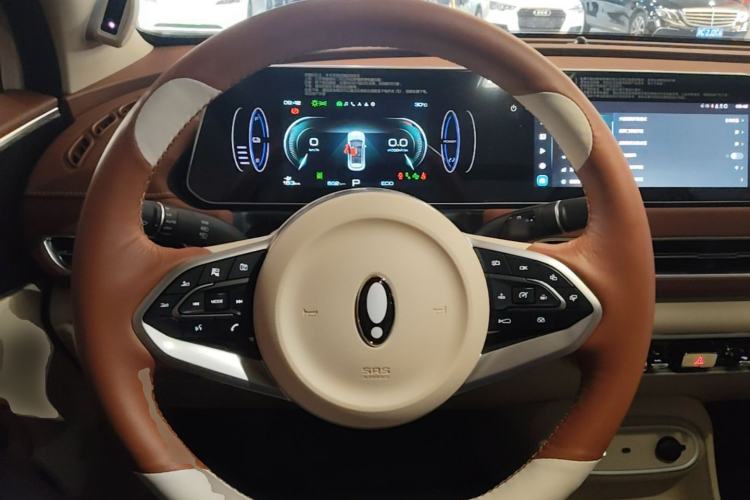 Used ORA Good Cat 2024 401 km Luxury Version 126 kW Steering Wheel
