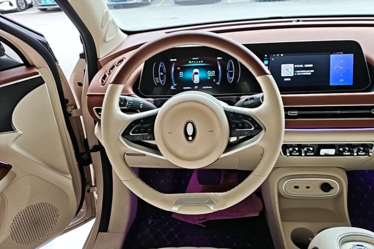 Used ORA Good Cat 2024 401 km Luxury Version Steering Wheel
