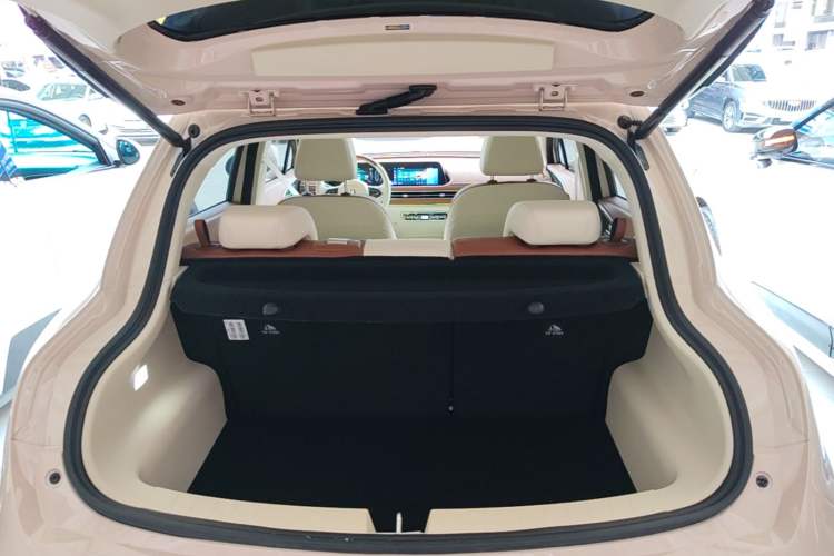Used ORA Good Cat 2024 401 km Luxury Version 126 kW Trunk