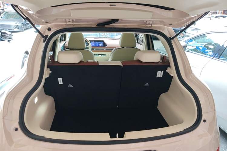 Used ORA Good Cat 2024 401 km Luxury Version Trunk