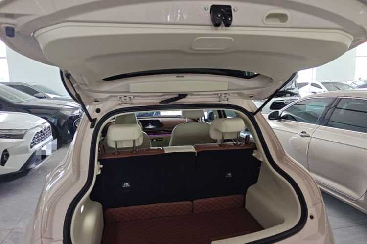 Used ORA Good Cat 2024 401 km Luxury Version Trunk