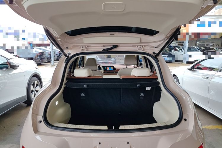 Used ORA Good Cat 2024 401 km Range Luxury Version 135 kW Trunk