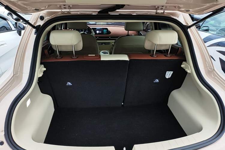 Used ORA Good Cat 2024 401 km Luxury Version Trunk