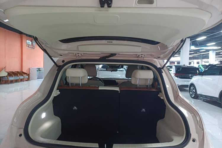 Used ORA Good Cat 2024 401 km Luxury Version Trunk