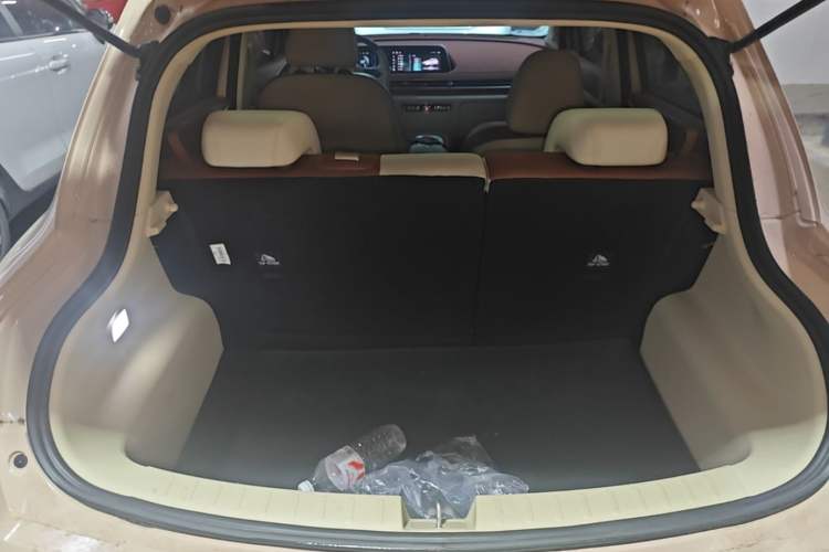 Used ORA Good Cat 2024 501 km Luxury Version Trunk