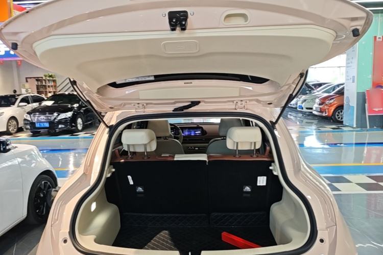 Used ORA Good Cat 2024 501 km Luxury Version Trunk