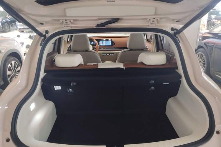 Used ORA Good Cat 2024 401 km Luxury Version 126 kW Trunk